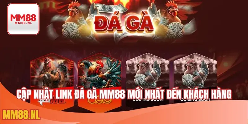 Cập nhật link đá gà MM88 mới nhất đến khách hàng